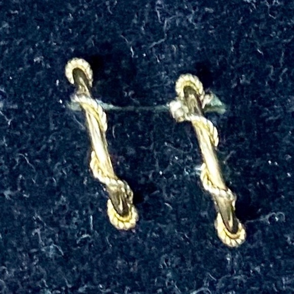 Treasure of Earrings and Brooches - Picture 12 of 14